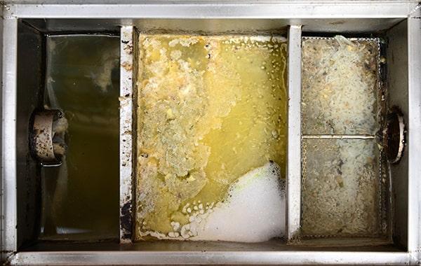 local health departments and municipal codes might have specific requirements for grease interceptor cleaning frequency, so it's important to stay compliant